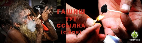 индика Гусев
