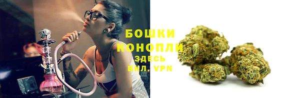 индика Гусев