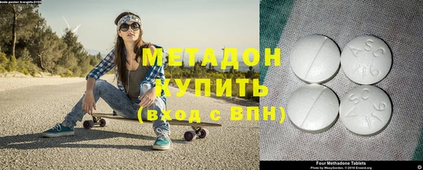 индика Гусев