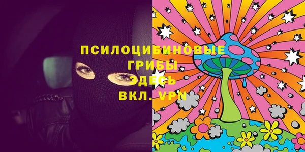 МДПВ Гусиноозёрск