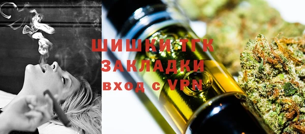 винт Горно-Алтайск