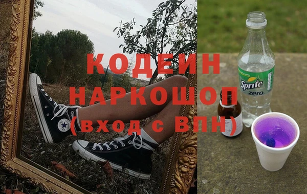индика Гусев