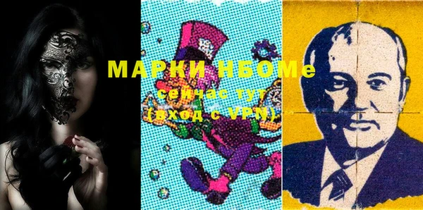 индика Гусев