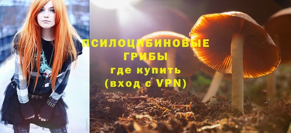 индика Гусев