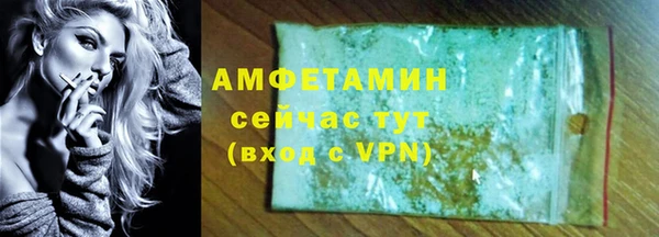 индика Гусев